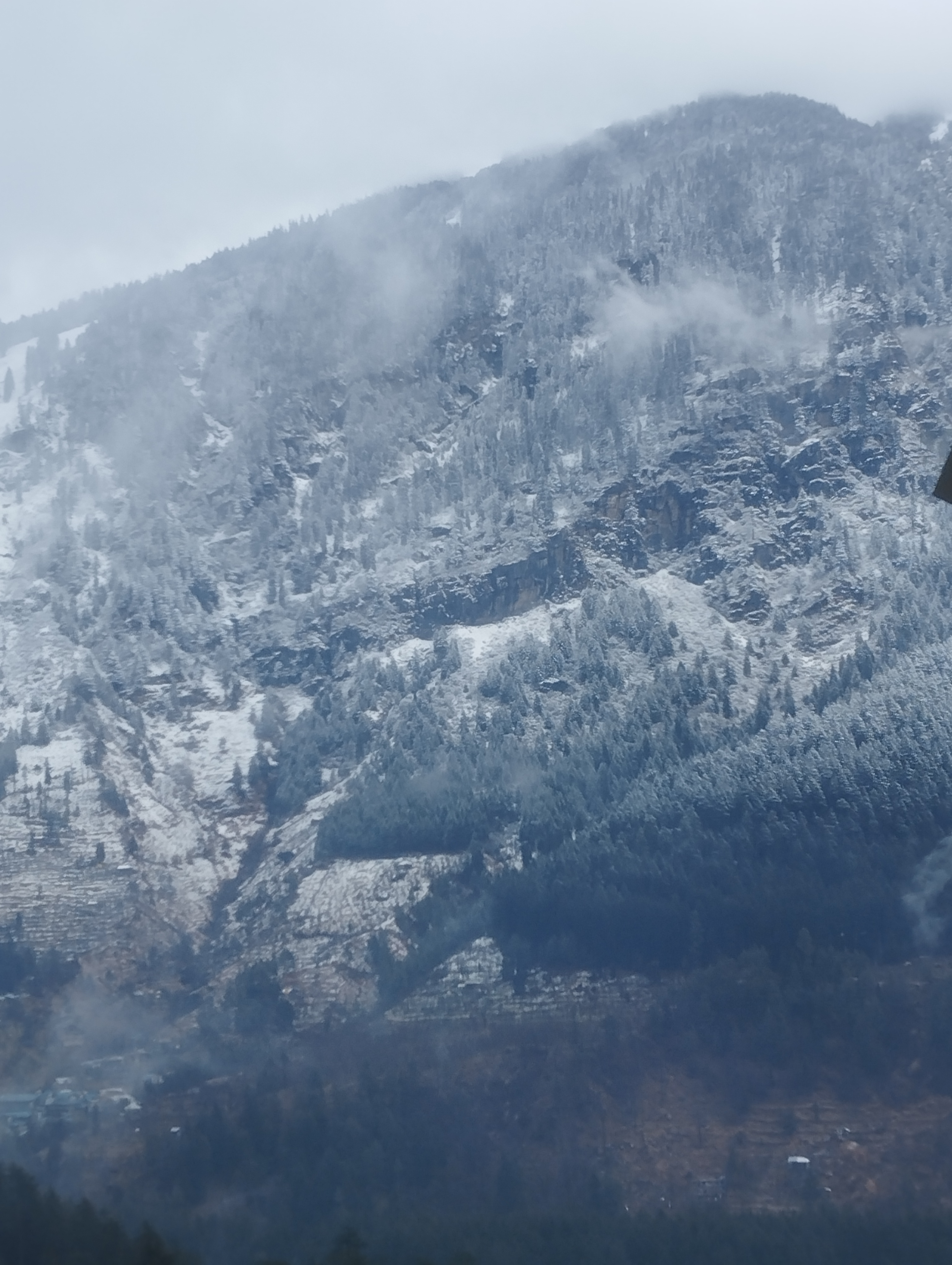 header